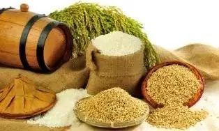 加快农产品品质标准制定 助力营养健康生活