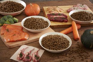 营养健康咨询 2019年度宠物食品行业的核心盈利增长点