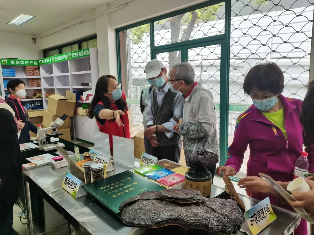 尚绿灵芝亮相上海农科院科技周，聚焦营养健康，引领菌菇消费新风尚